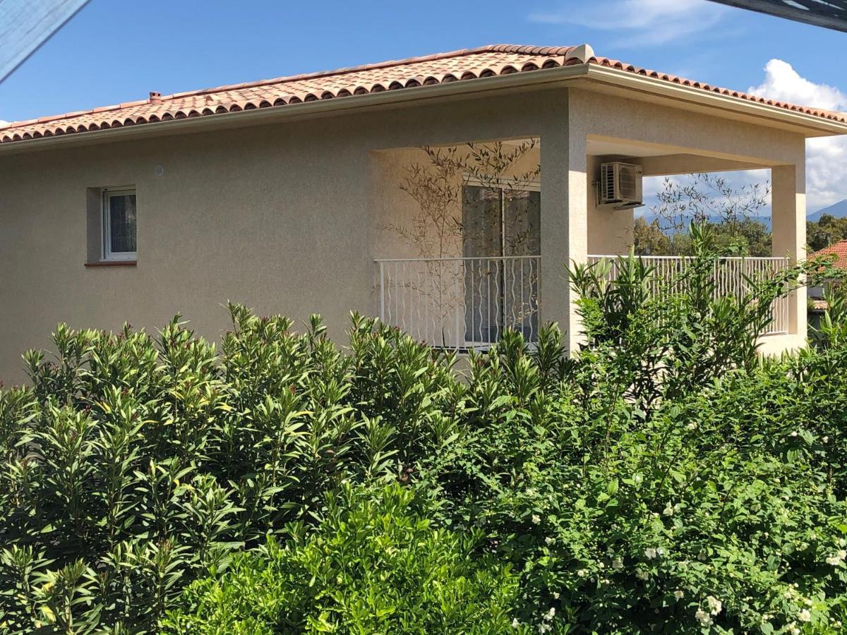L'Alivu Villa Ajaccio  Buitenkant foto